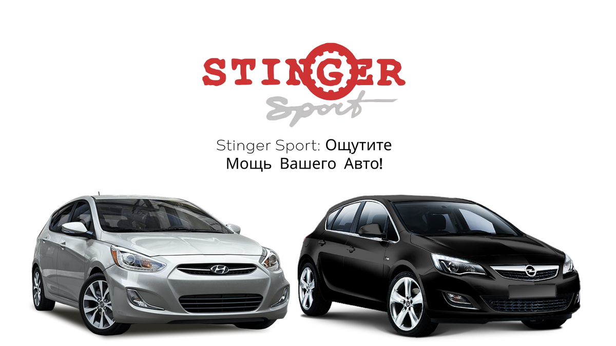 Глушители Stinger Sport: Раскрытие скрытого потенциала вашей иномарки |  STINGER sport - выхлопные системы | Дзен