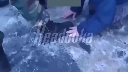 Видео: школьницу избили и заставили целовать ноги сверстники в Тыве