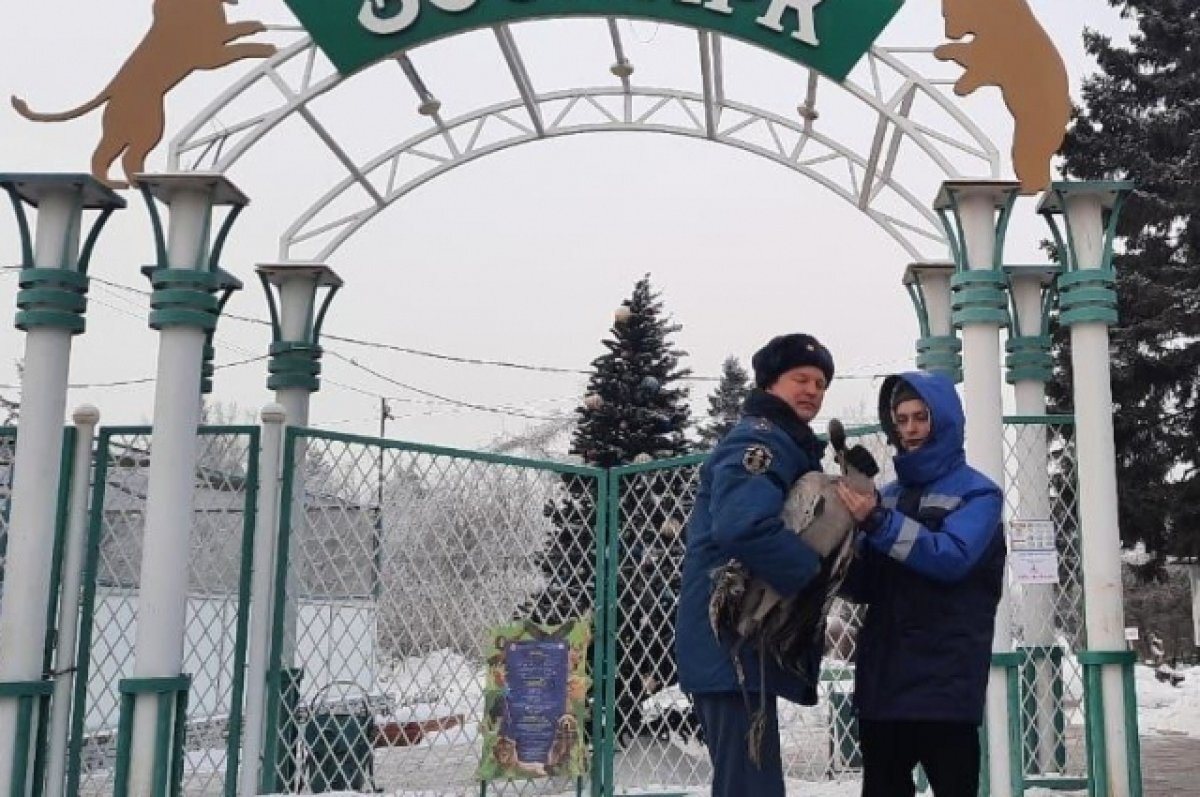    Спасённый журавль.