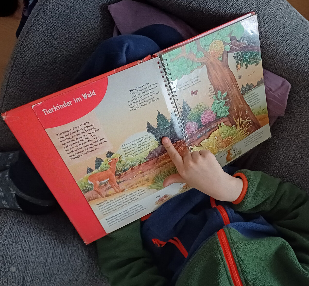 Вот такой жест.