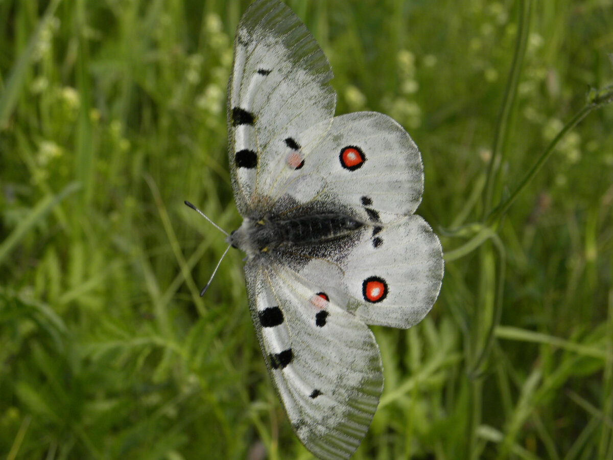 фото Андрея Ващенко