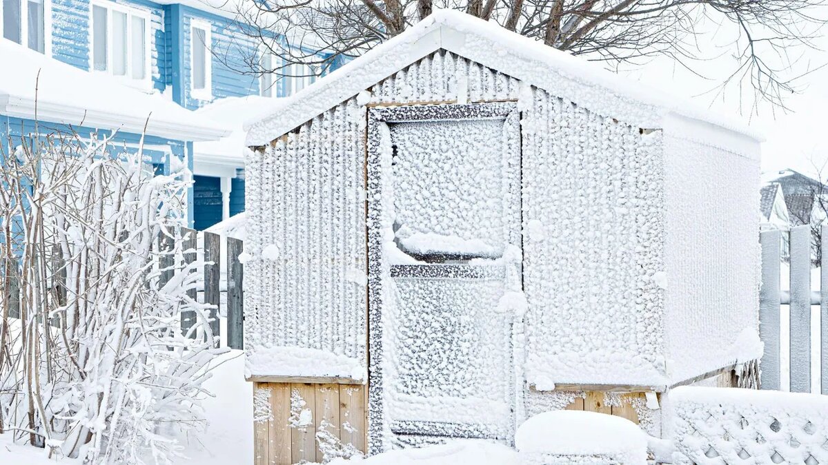 Источник фото - https://goo.su/K4elA