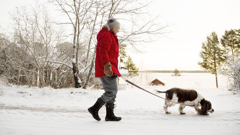   Gettyimages.ru Johner Images