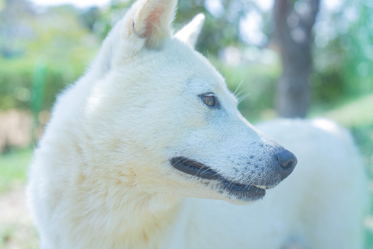 Картинка с бесплатного фотостока https://unsplash.com, автор Ryoo Geon Uk