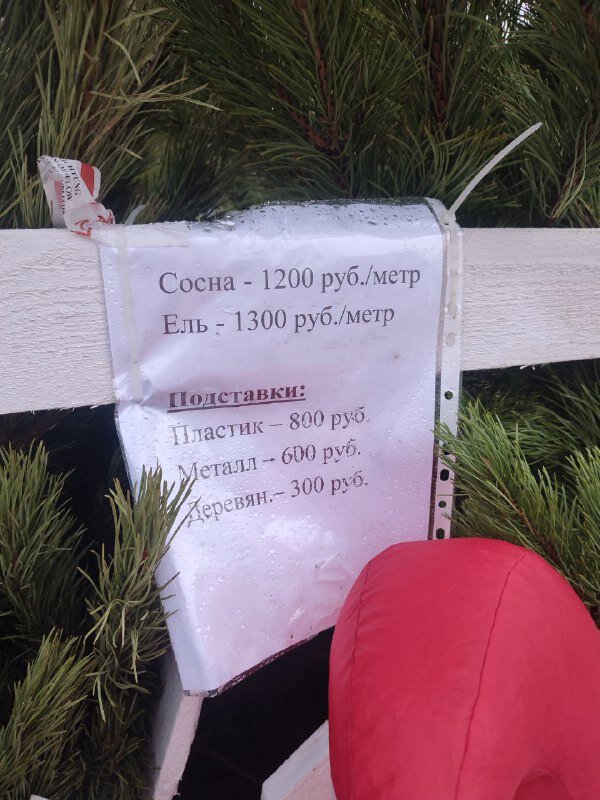    В прошлом году елки были на несколько сотен дешевле Фото:  АиФ/ Наталья Алешина