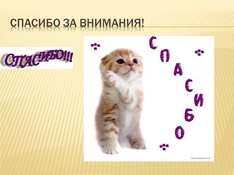 Презентация по окружающему миру на тему "Амурский тигр" (старшая группа)