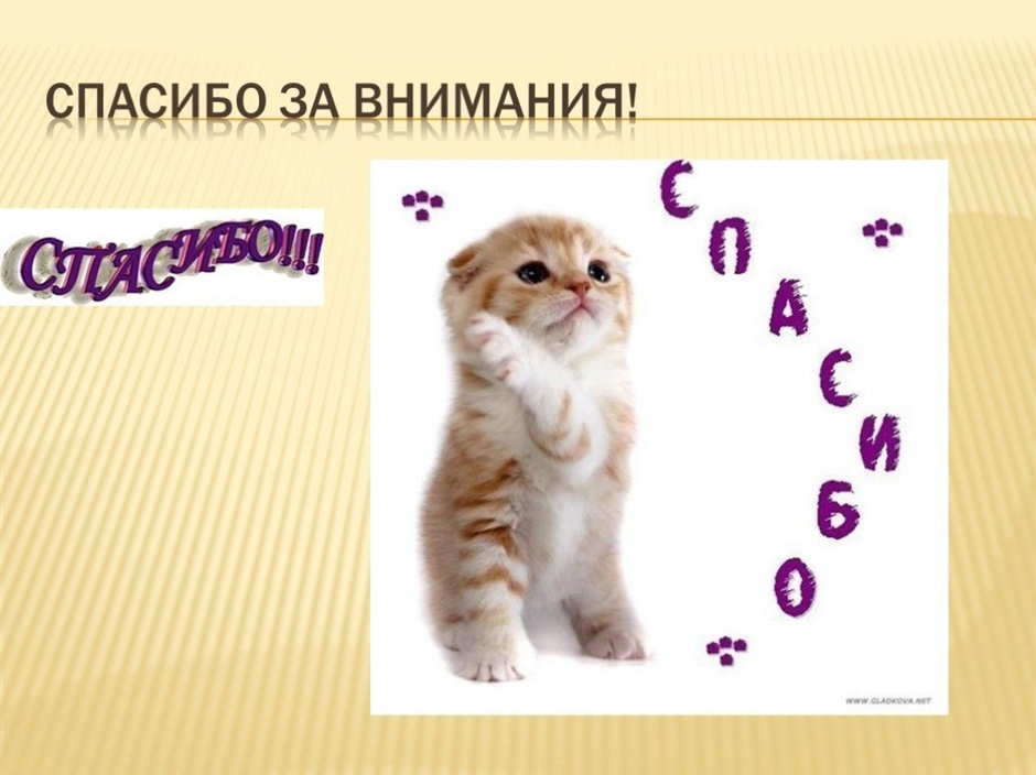 Спасибо за внимание для презентации мило. Спасибо за внимание котик. Спасибо за внимание котенок. Картинка спасибо за внимание. Благодарю за внимание для презентации.