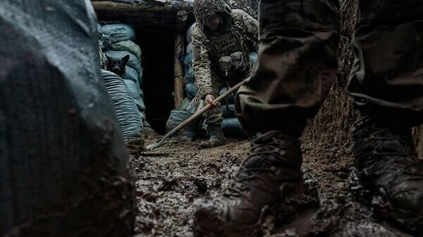    © Telegram Владимир Зеленский