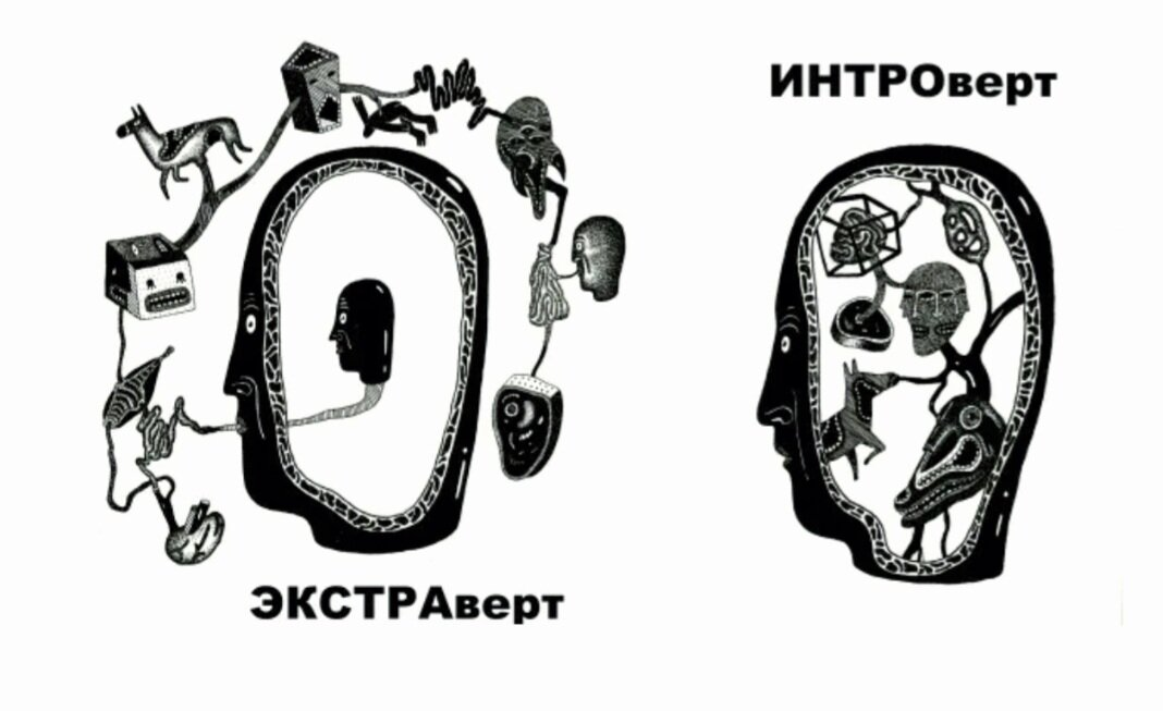 Интроверт наоборот. Психотипы интроверт экстраверт. юнг экстраверсия и интроверсия. экс раверты и инторверт ы.