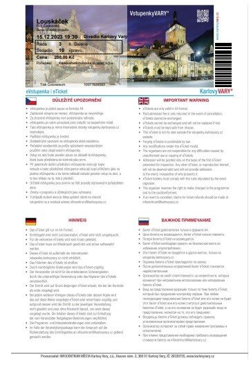 Билеты после распечатки в формате А4 на привычных 4-х языках.