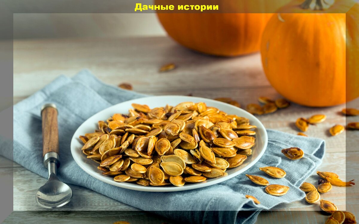 https://vk.com/photo-159774511_457263253