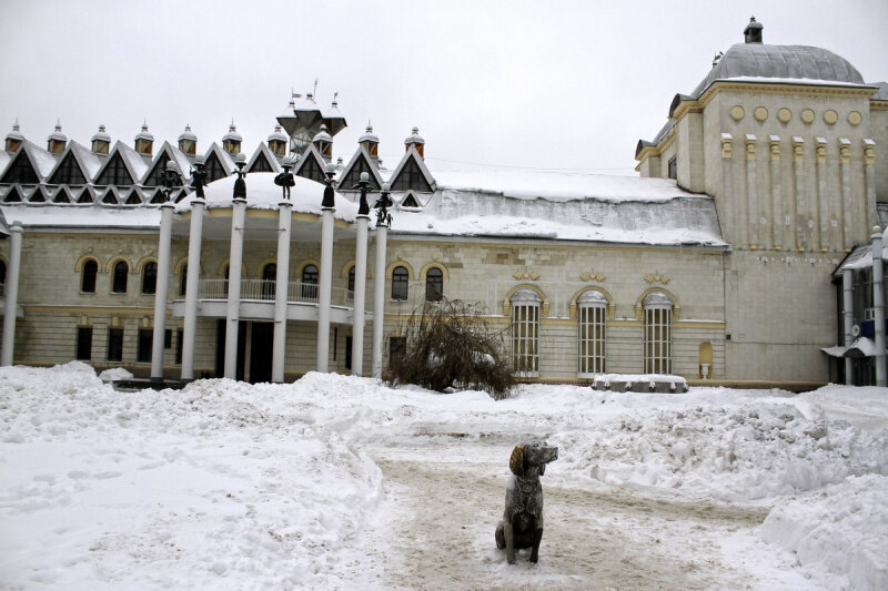 Новый театр воронеж билеты. Билет в музей вена. История создания оперного театра в воронеже. Новый театр воронеж билеты. Новый театр воронеж билеты.