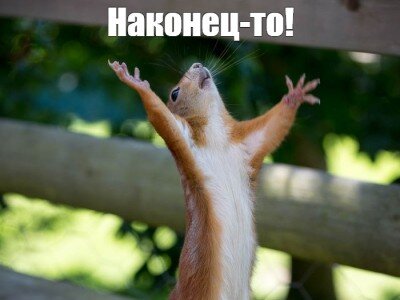    Спустя год Microsoft решила одну из проблем с «Проводником» в Windows 11