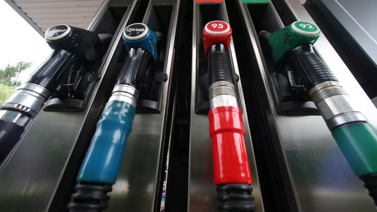 © Sputnik / Игорь Зарембо