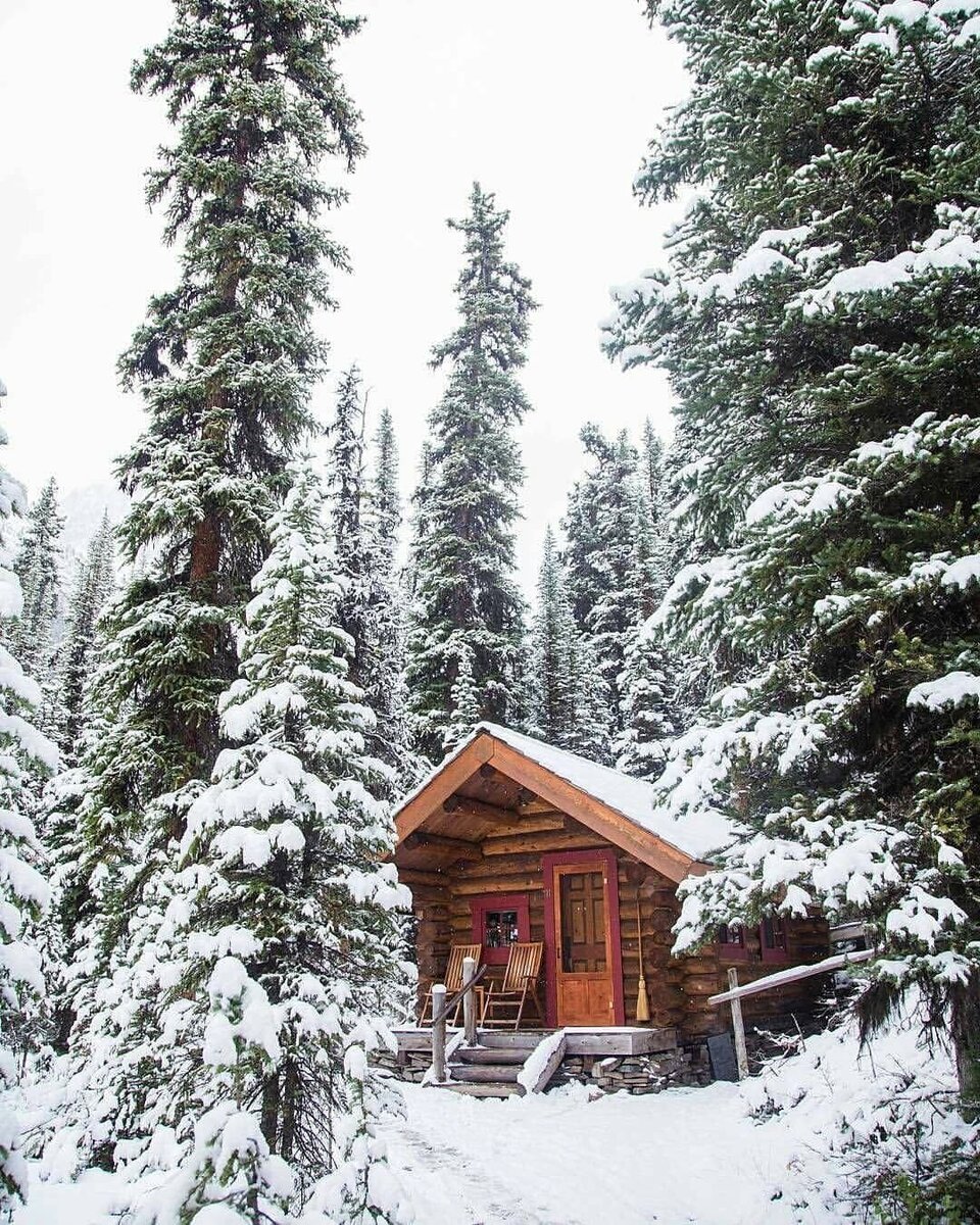 Фото из интернета. 