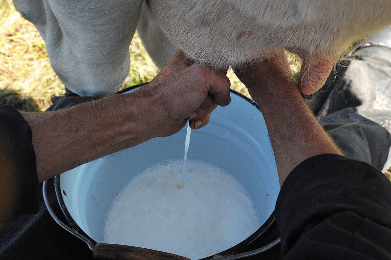 Равновесие спроса и предложения на рынке. График спроса и предложения на рынке. Кривая отраслевого спроса на труд. График ценовой эластичности спроса. 3 взаимодействие спроса и предложения рыночное равновесие.