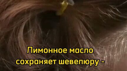 АромаКэт про эфирные масла | Эфирное масло лимона помогает сохранить ...