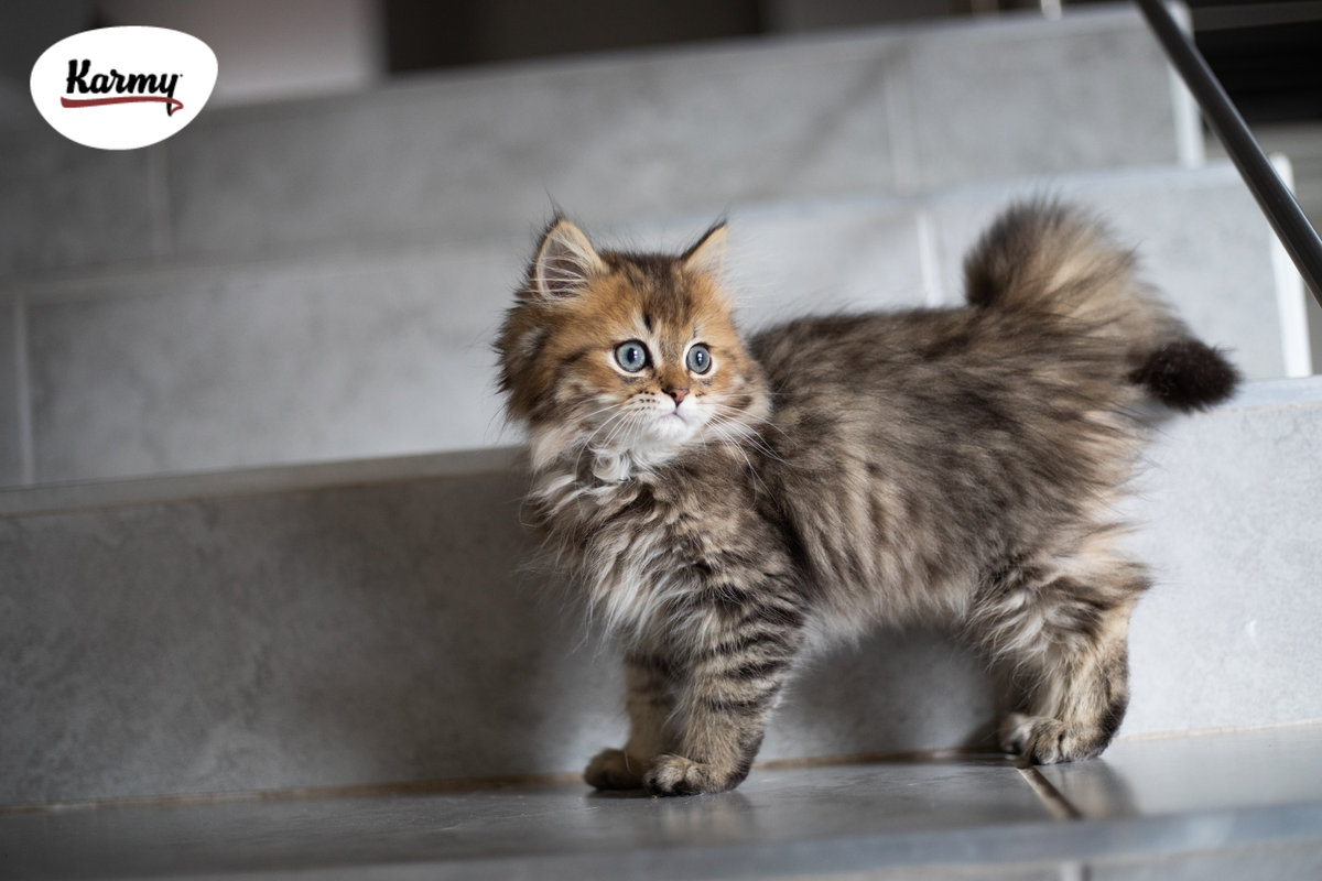 Авторское изображение с использованием картинки с фотостока "Unsplash"