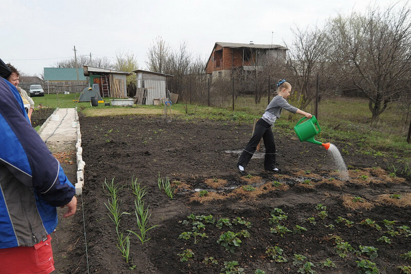 Образец доверенности для налоговой от физического лица. Доверенность для ознакомления с материалами дела в суде. Доверенность на представление интересов должностного лица. Образец заявления об ознакомлении с материалами дела. Доверенность на ведение дел в суде от юридического лица образец.