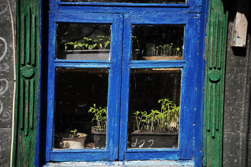 каток морозово москва. каток воробьевы горы лужники. каток в парке москва. фэмили парк каток волжский. парк им бабушкина каток.