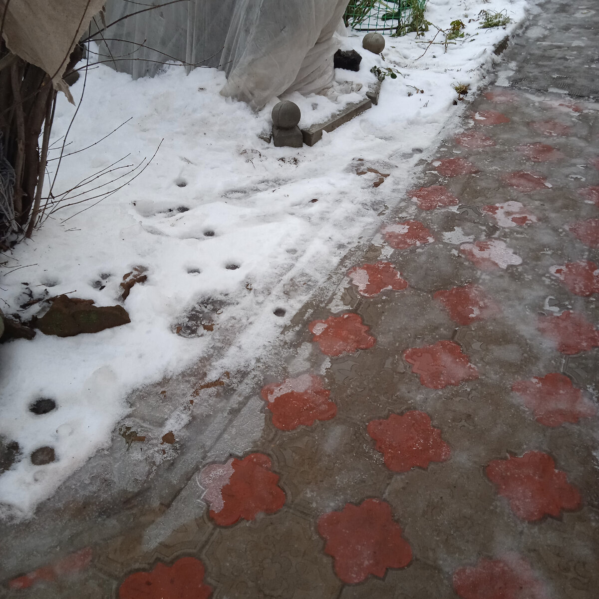 А у нас уже весна | нетипичный пенсионер | Дзен