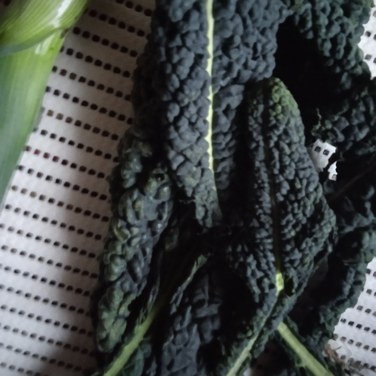 А у нас уже весна | нетипичный пенсионер | Дзен