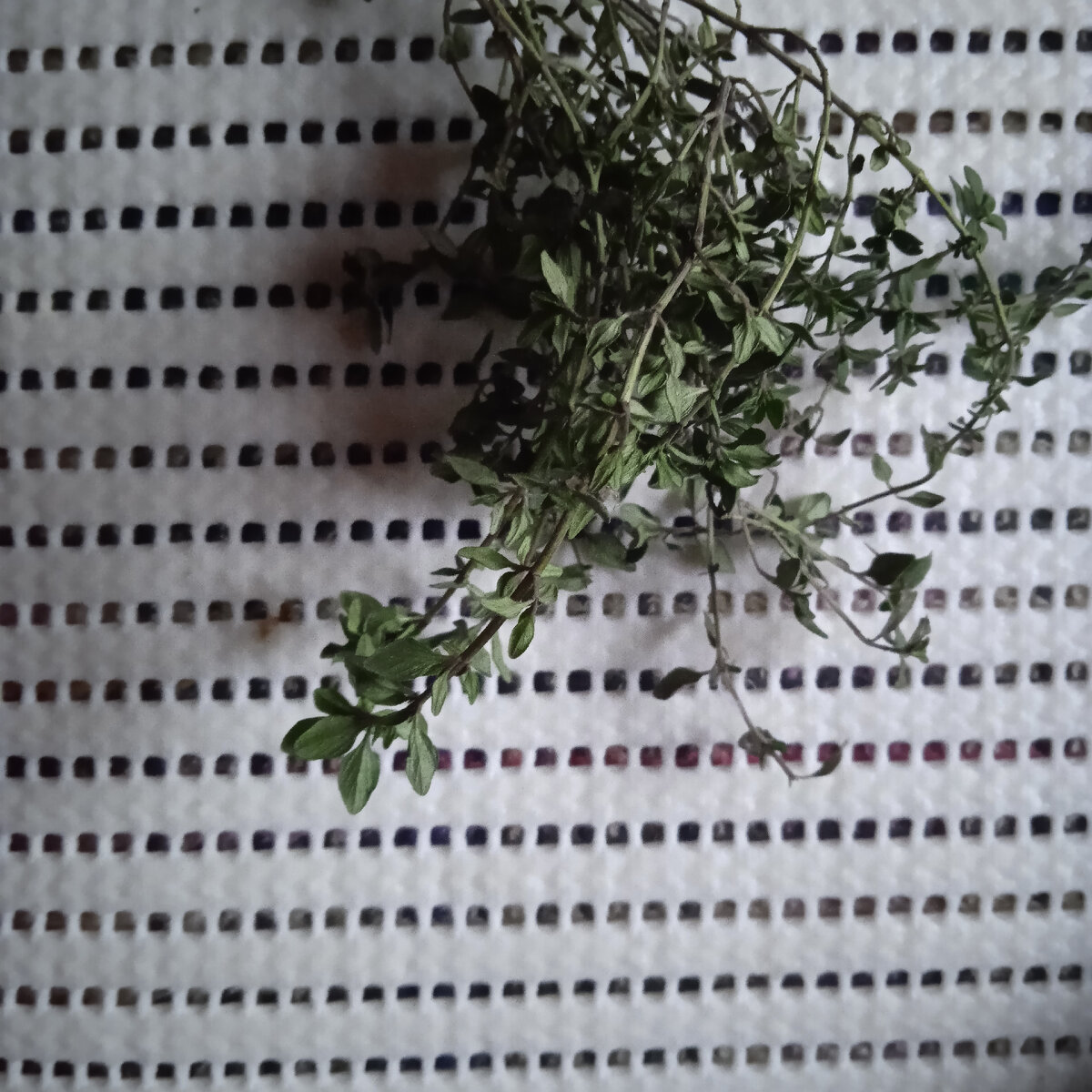 А у нас уже весна | нетипичный пенсионер | Дзен