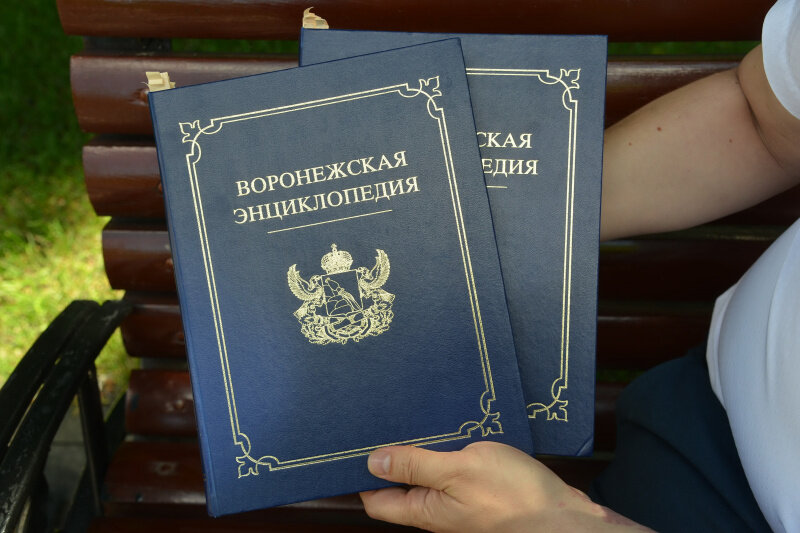 воронеж население 2022. аксирма для мигрантом в воронеж. единый миграционный центр воронеж. воронежская область миграция. мигранты воронежская область население.