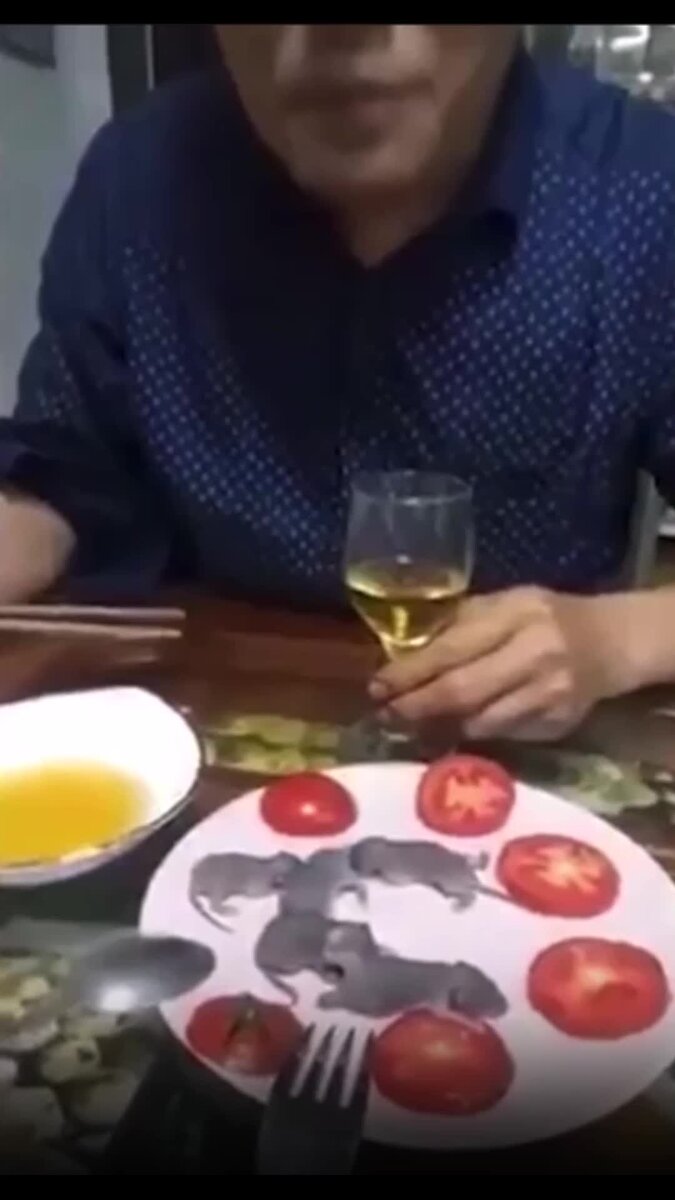 Самбука Настя порно