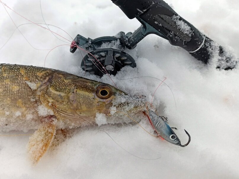балансиры в глухозимье