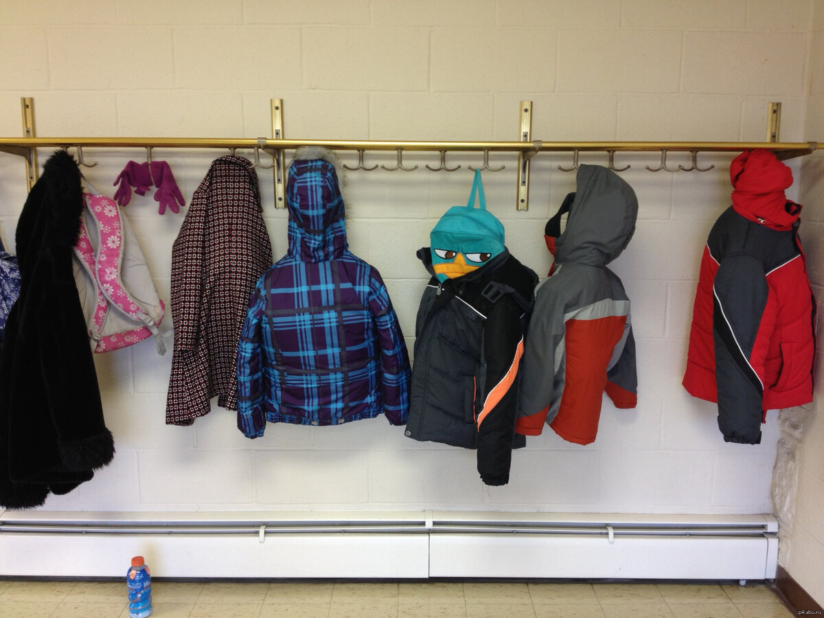 фото из свободного доступа