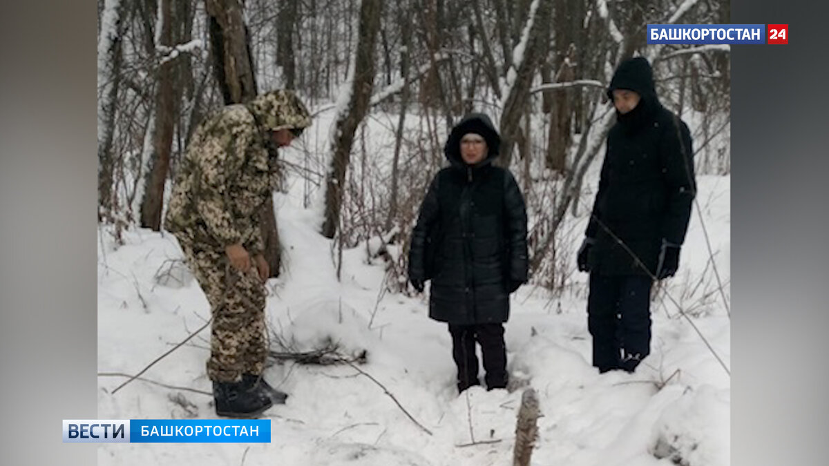    В Иглинском районе Башкирии браконьеры убили лося