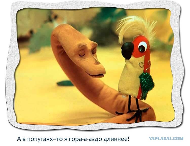 А в попугаях я гораздо. Гораздо длиннее. Гораздо длиннее. А в попугаях я гораздо больше. Хитон мужской выкройка.