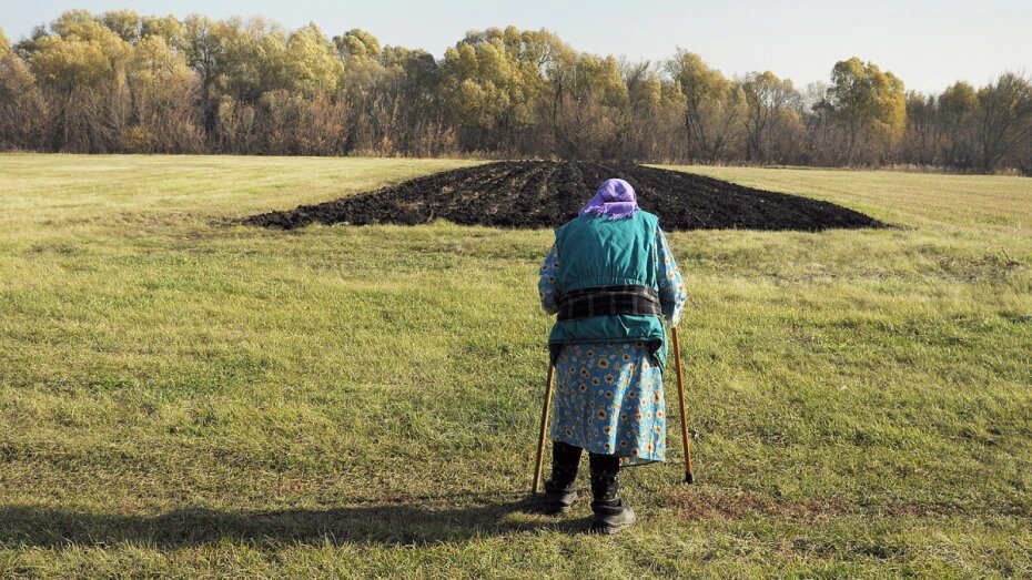    Автор фото: Андрей Архипов