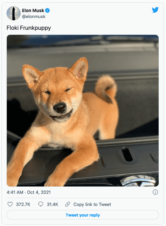 Каждая "собачка" имеет миллиардные капитализации благодаря твитам Маска.