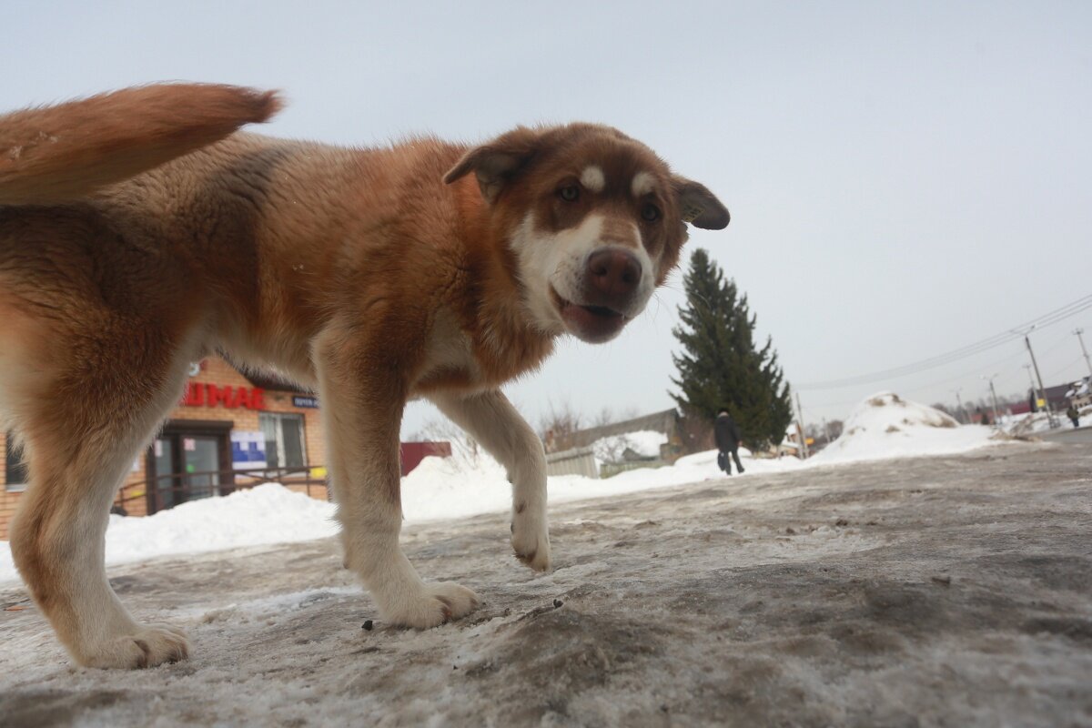 Павел Хацаюк/«Вечерняя Казань»