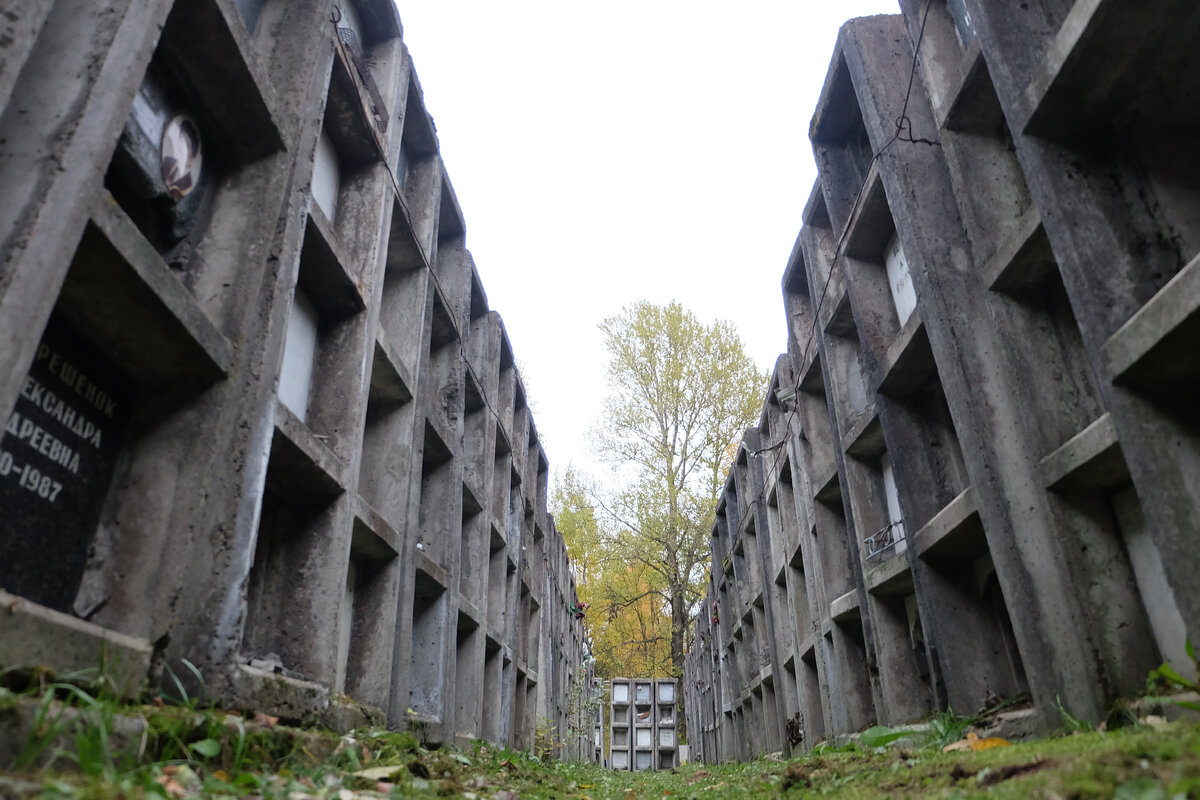 Добрых сказок у меня не бывает