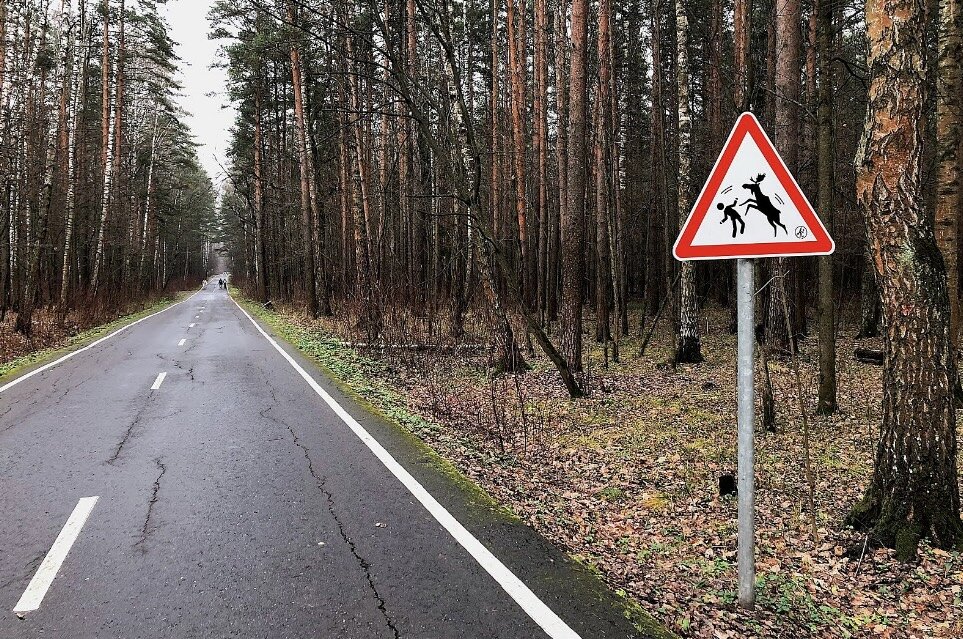 Лосиный остров королев дорога. Бумажный просек Лосиный остров. Бумажная аллея Лосиный остров. Бумажная просека. Просеки в Лосином острове.