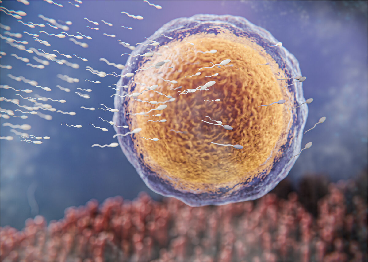 фото из фотобанка