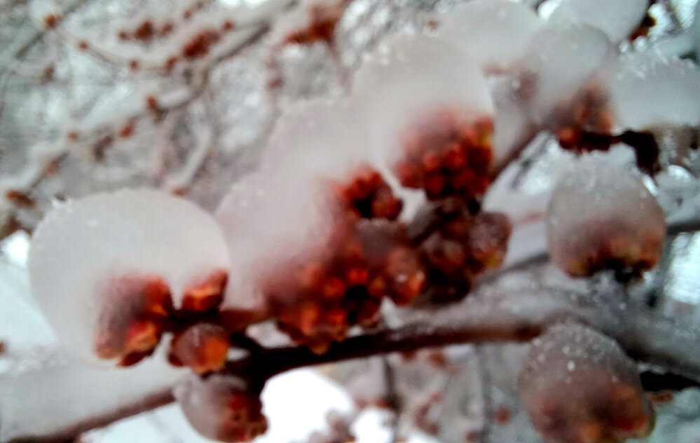 НЛО с работающими двигателями  Донецк. декабрь 2023