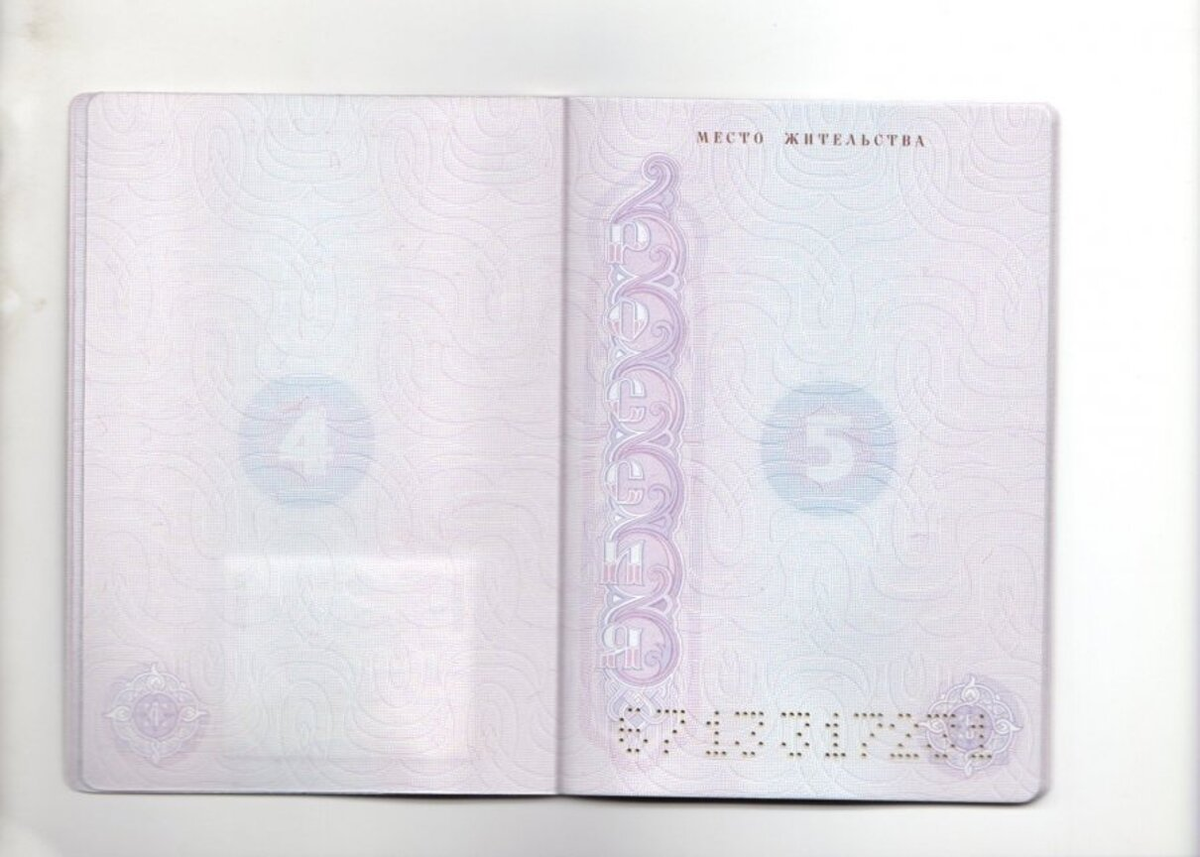 Всё начинается с 5 страницы паспорта