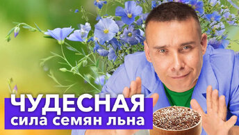 Что будет, если есть семена льна каждый день? Только научные факты!