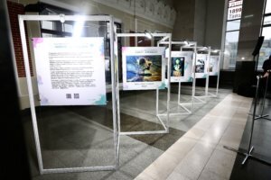    Фото: пресс-центр Международной детско-юношеской премии «Экология – дело каждого»