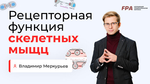 Рецепторная функция скелетных мышц | Владимир Меркурьев (FPA)