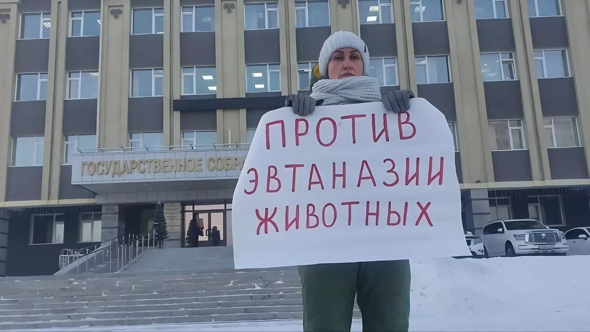     Депутаты Республики Алтай большинством голосов проголосовали за усыпление бездомных животных. Местные зоозащитники устроили пикет возле здания Госсобрания Алтая, требуя от народных избранников не принимать закон.