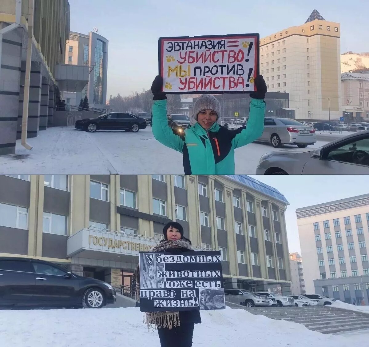 Зоозащитники вышли на пикет в знак протеста, считая закон жестоким по отношению к животным. Фото: «Республика Алтай в Telegram»