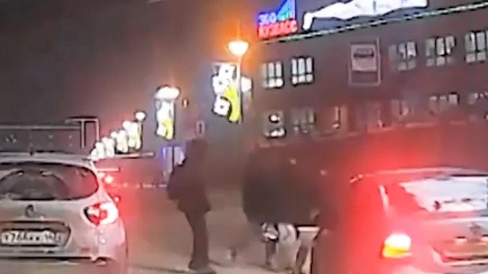 Фото: скриншот видео 