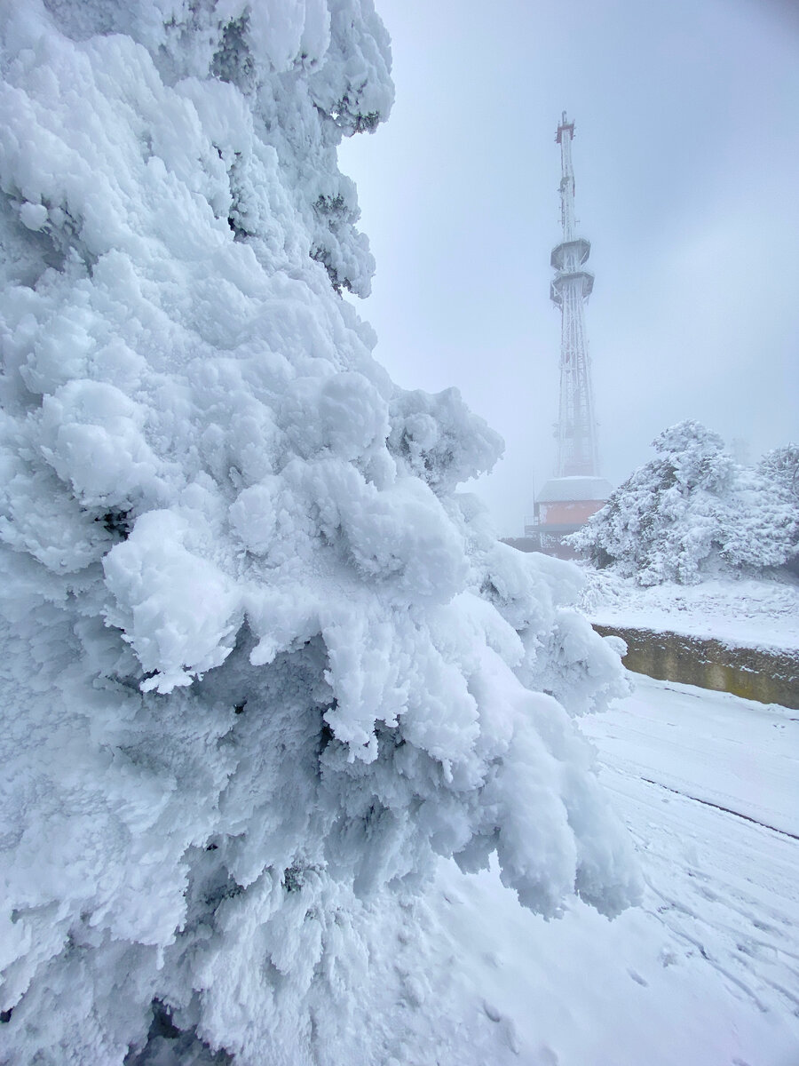 На вершине Машука (декабрь 2023 года)