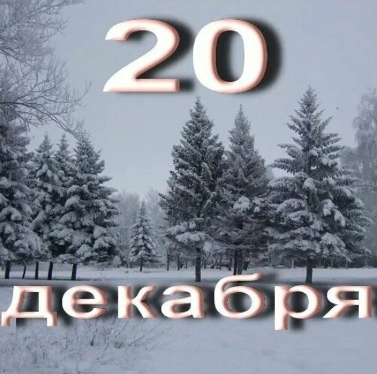 20 декабря 2023 г