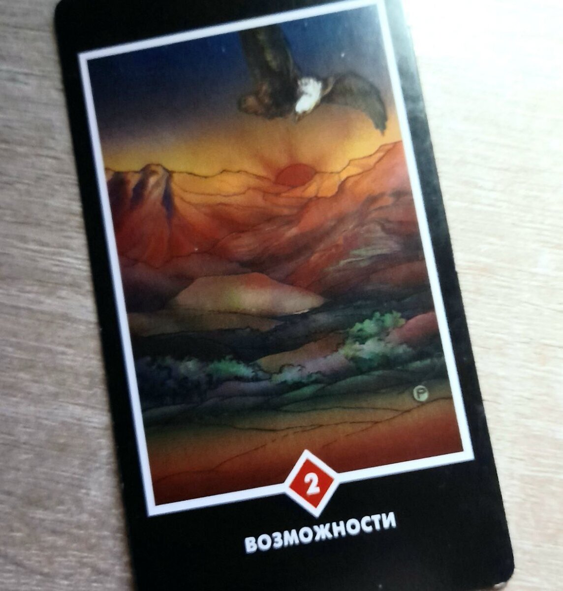 фото  автора.